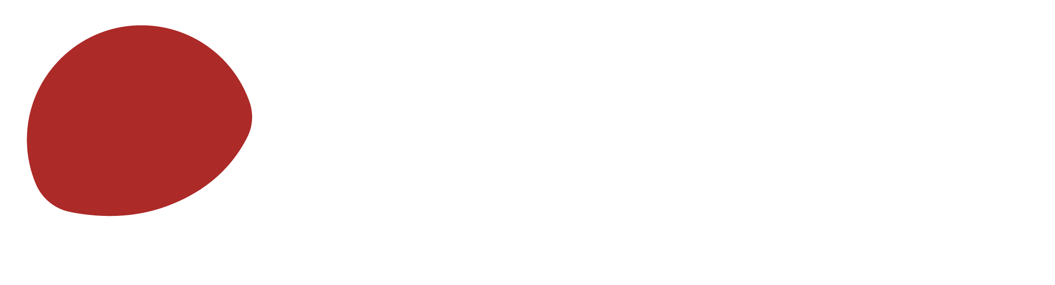 Wisuel Studio